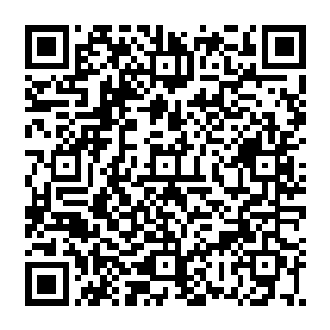和下人抬着着一个火炉与酒食刚刚从阁楼外的影墙后面的圆形的拱门之中走了出来二维码生成