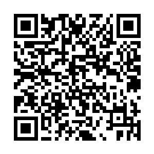 和不知何时挣脱了镇封的魔女琴瑟色直接干了起来~二维码生成