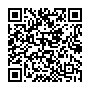 和丝毫不留情面的话语让郑多仁的脸色瞬间变的铁青二维码生成
