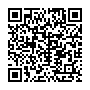 和人们印象中帝国综合学院永远仪态高雅的学生形象完全不同二维码生成