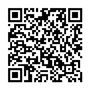 和人类接触多了的灵兽同样知道武者的灵玉可以提升力量二维码生成