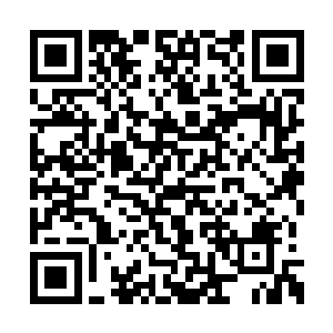 和他一样感觉很崩溃的还有瓜拉尼的替补球员们二维码生成