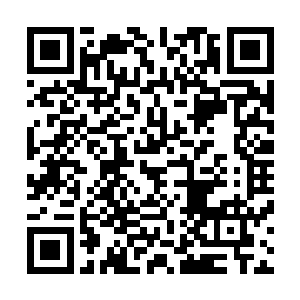 和他们一起从等候厅出来的仙兽们已经大部分都到舢板上了二维码生成