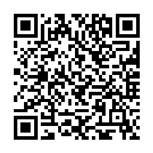 和他们一起被勒令退学的还有和他们打架的那些同学二维码生成