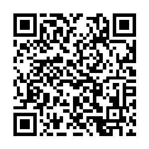 和他们拥有一致原子震荡频率的等离子体细胞告别二维码生成