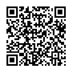 和他搏斗……自己因为畏惧而冲出了家门跑chuqu躲了一夜二维码生成