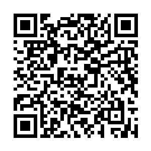 和他认识的玫瑰社的女生们本质上并没有什么不同二维码生成