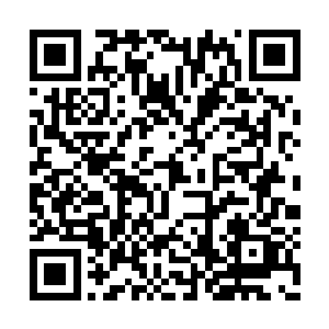 和他这个以商贾为名号的谢氏盐仓的继承人相比二维码生成