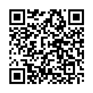 和传承中虫仙子的幼圣体的一种非常像二维码生成