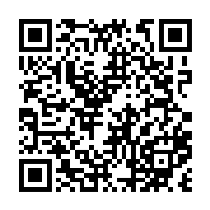 和传统印象中的英国皇室或者老学究绅士一样古板二维码生成