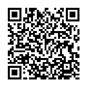 和似乎是自己朋友的人……虽然已经记不太清做人时候的事情了二维码生成