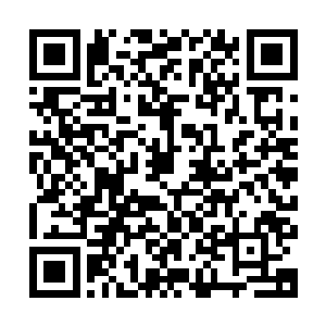 和作为皇室的黄金精灵加上四上位精灵精灵建立的古代精灵帝国二维码生成