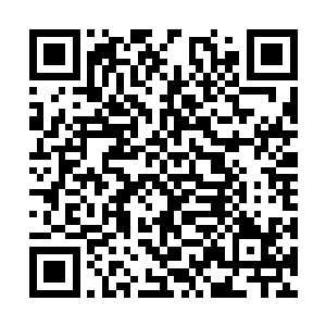 和其他人一样也以为阿武像其他丧尸一样会攻击人二维码生成
