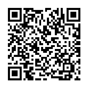 和军营中那些空有蛮力而无脑子的士兵没什么两样二维码生成