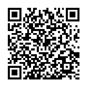 和几十万年前洪荒时代遗留下来的战斗符文发生了最完美的反应二维码生成