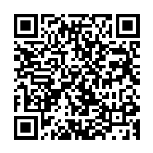 和凤凰对战的时候实际上就是比正常稍微疯狂一些的修炼而已二维码生成