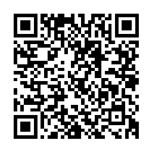 和刘老板签完合同转移了第一块绿色生态建筑用地的归属权之后二维码生成