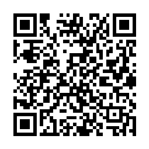 和刚刚从上古战场退下既进入休眠的老兵巨人们不同二维码生成