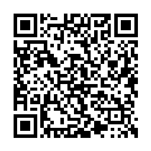 和刚才那个缤纷绚丽的世界完全不是一回事儿啊二维码生成