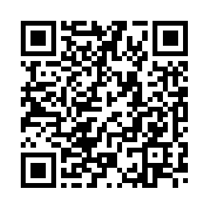 和制止战争什么的一点关系都没有二维码生成