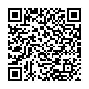 和只有一个苹果就送一个所代表的意义是截然不同的二维码生成