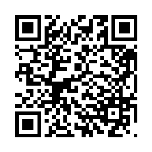 和叶星一起与东扶军战斗的人有许多二维码生成