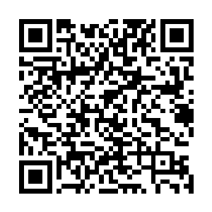 和后方远征军大本营那些鼻孔长在脑门上的家伙吹胡子瞪眼二维码生成