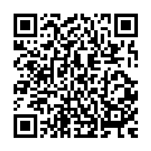 和吴梦溪那种舍不得孩子套不着狼的大将之风还是有点区别的二维码生成