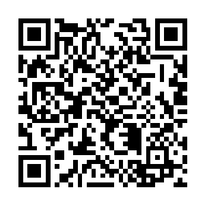 和国营企业截然不同的经营方式让陆拥军感触良多二维码生成