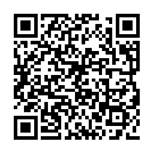 和地铁项目一并敲定的还有蓝岛港的改扩建项目二维码生成