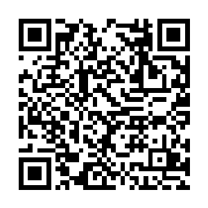 和地面呈九十度垂直的树干对他而言就是如履平地二维码生成