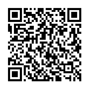 和墙上显示器里反复播放的皇马巨星在足球衫上签名的现场录像二维码生成