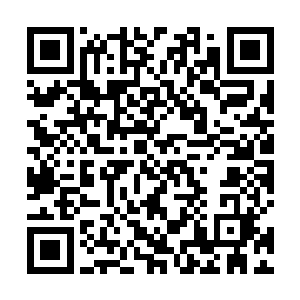 和大精灵王一个级别的人物啊……死域果然是藏龙卧虎二维码生成