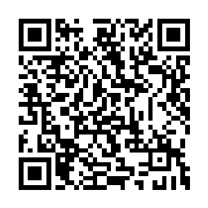 和她一样获得好莱坞电影人密切关注的还有希斯二维码生成