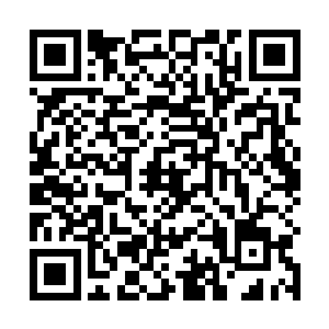 和她一起参加这次为期五年的宗门任务的还有五名修士二维码生成
