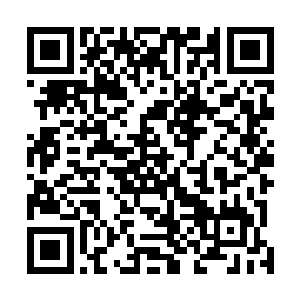 和孙子轩在俗世的时候看古代神话故事中的麒麟一模一样二维码生成
