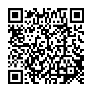 和对于叶初释放出来的威能恐惧感也伴随着段天涯的大笑消散了二维码生成