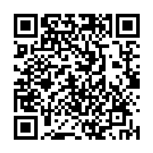 和对未来有些美好幻想的年轻人是一种多么的残酷二维码生成