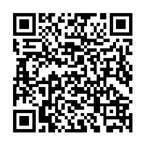 和小水鬼王本体丝毫不相上下的巨大火焰太皇虚影凝现二维码生成