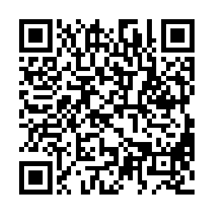 和已然失去了国土的灵王……先后穿过了那扇哀嚎之门二维码生成