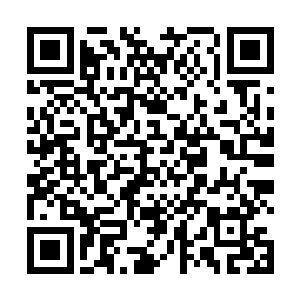 和巴克一样能感受到那些军人准备开枪杀人的神情决心二维码生成
