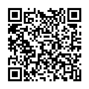 和平京那位小向同志的婚姻有什么原因也不用多说二维码生成