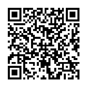 和张智那比钢铁还要坚硬的膝盖就来了个亲密接触二维码生成