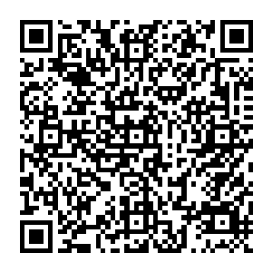 和当初宫本武藏爆出来的那一块是一模一样的……这也代表了令牌原先的那个拥有着的实力的二维码生成