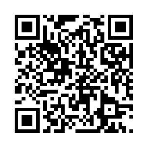 和往ri看着不多的粮食愁眉苦脸的模样完全不同二维码生成