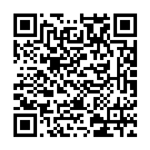 和恶魔深渊那位不知活了多少年的海巫大人给他的感觉类似二维码生成