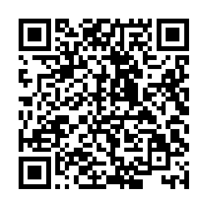 和懿肃贵妃这等精明强干的商界女强人也能对谈一二二维码生成