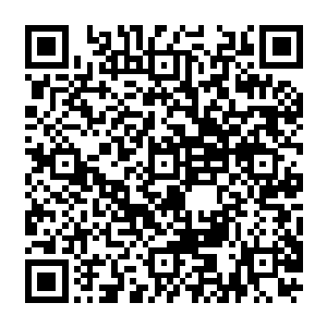 和我们寒仙门的十二属相并称的前辈……是我们寒仙门最强无极境中的佼佼者……二维码生成