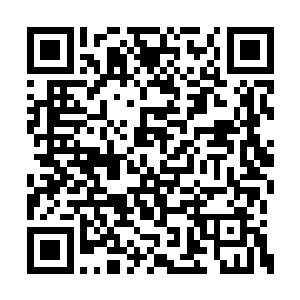 和我修炼功法开篇心法的字数也完完全全对上了二维码生成