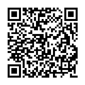 和我有可能施加到你神魂之上的极限痛苦比起来二维码生成